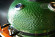 Керамический гриль SG с окошком, 57 см / 22 дюйма (зеленый) (Start Grill) в Кирове